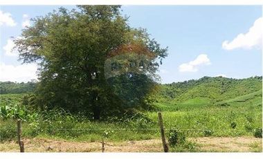 Finca De Venta En Lodana Santa Ana Manabí