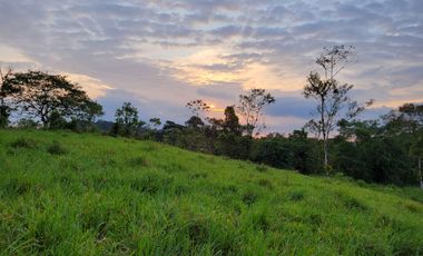 Hermosas fincas de 10.000 m2 en Pedro Vicente Maldonado con Río.