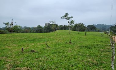 Hermosas fincas de 10.000 m2 en Pedro Vicente Maldonado con Río.