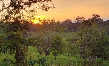 Hermosas fincas de 10.000 m2 en Pedro Vicente Maldonado con Río.