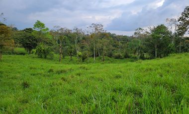 Hermosas fincas de 10.000 m2 en Pedro Vicente Maldonado con Río.
