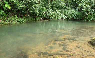 Hermosas fincas de 10.000 m2 en Pedro Vicente Maldonado con Río.