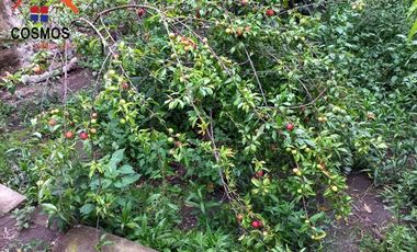 Casa con terreno de venta en Cotacachi