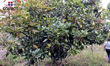 Casa con terreno de venta en Cotacachi