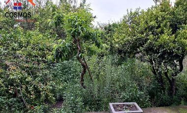 Casa con terreno de venta en Cotacachi