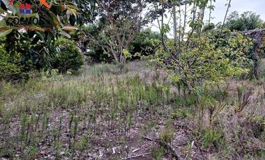 Casa con terreno de venta en Cotacachi