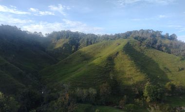Venta Finca Ganadera Concepción Antioquia