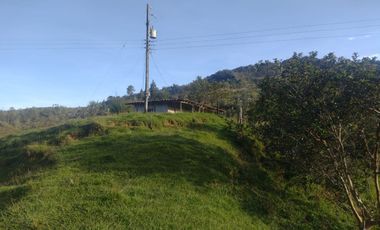 Venta Finca Ganadera Concepción Antioquia