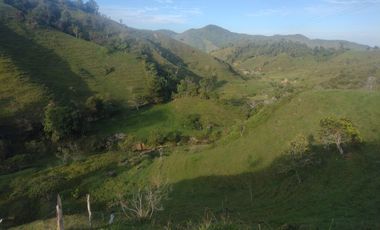 Venta Finca Ganadera Concepción Antioquia