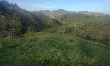 Venta Finca Ganadera Concepción Antioquia