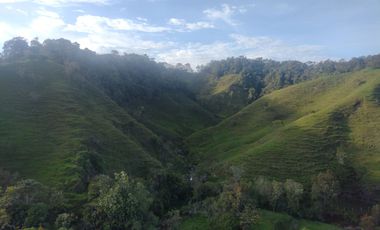 Venta Finca Ganadera Concepción Antioquia