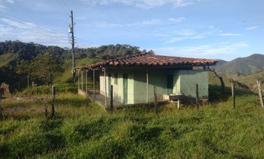 Venta Finca Ganadera Concepción Antioquia