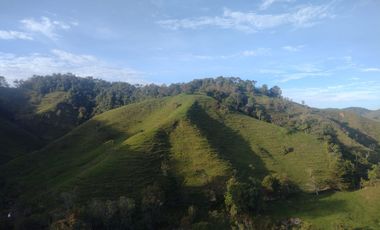 Venta Finca Ganadera Concepción Antioquia