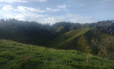 Venta Finca Ganadera Concepción Antioquia