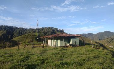 Venta Finca Ganadera Concepción Antioquia
