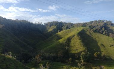 Venta Finca Ganadera Concepción Antioquia