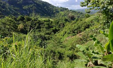 Developable Raw Land in Antipolo, Rizal for Sale