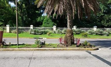 Newly Renovated Corner House with 4BR+ 1  with 3 car garage