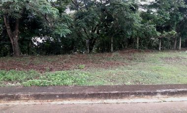 VERY AFFORDABLE 197 SQM CORNER RESIDENTIAL LOT FOR SALE in GREENWOODS NEAR TALAMBAN CEBU CITY