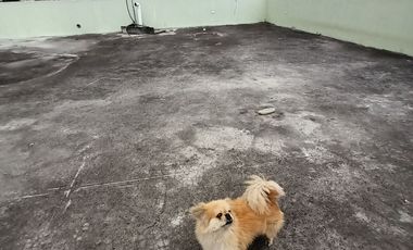 Venta de Propiedad en Ibarra