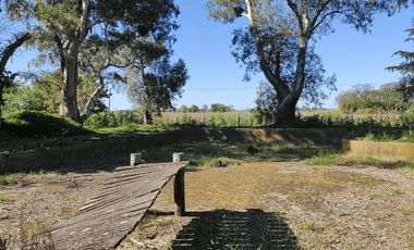 CAMPO 11 HA RUTA 30 - CHIVILCOY