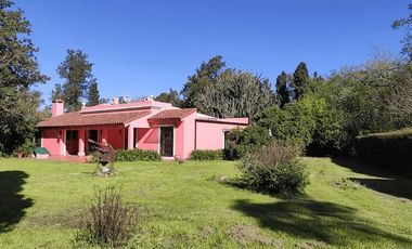 CAMPO 11 HA RUTA 30 - CHIVILCOY