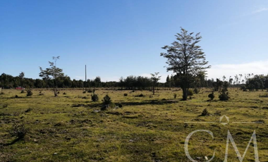 Parcelas en sector Monte verde , Puerto MOntt