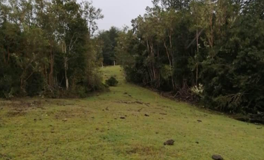 Parcelas en sector Monte verde , Puerto MOntt