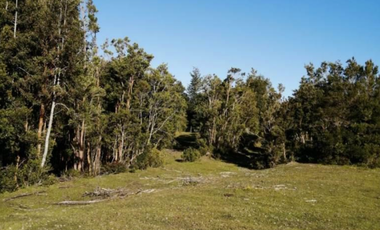 Parcelas en sector Monte verde , Puerto MOntt
