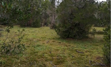 Parcelas en sector Monte verde , Puerto MOntt