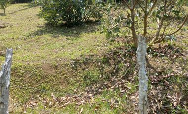 VENDO PRECIOSA FINCA DE TRABAJO ENTRE YOLOMBÓ Y YALÍ ANTIOQUIA.