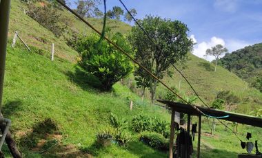 VENDO PRECIOSA FINCA DE TRABAJO ENTRE YOLOMBÓ Y YALÍ ANTIOQUIA.
