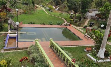 VENDO PRECIOSA FINCA DE TRABAJO ENTRE YOLOMBÓ Y YALÍ ANTIOQUIA.