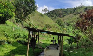 VENDO PRECIOSA FINCA DE TRABAJO ENTRE YOLOMBÓ Y YALÍ ANTIOQUIA.