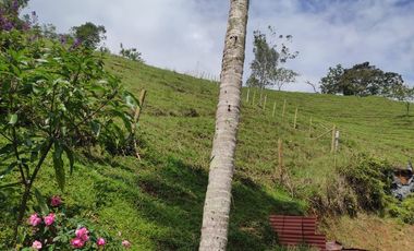 VENDO PRECIOSA FINCA DE TRABAJO ENTRE YOLOMBÓ Y YALÍ ANTIOQUIA.