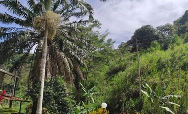 VENDO PRECIOSA FINCA DE TRABAJO ENTRE YOLOMBÓ Y YALÍ ANTIOQUIA.