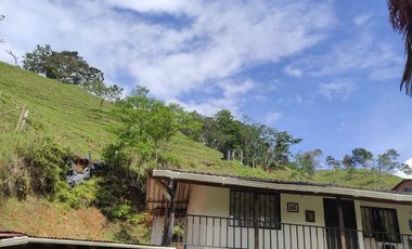 VENDO PRECIOSA FINCA DE TRABAJO ENTRE YOLOMBÓ Y YALÍ ANTIOQUIA.