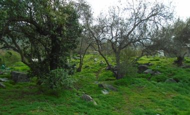 SE VENDE PARCELA CON CASA EN CONDOMINIO EN MIRAFLORES