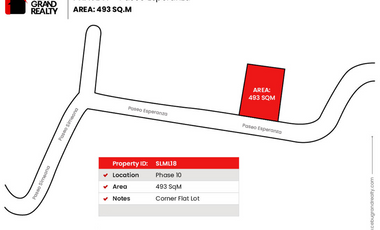 493 SqM Flat Corner Lot for Sale in Maria Luisa Park