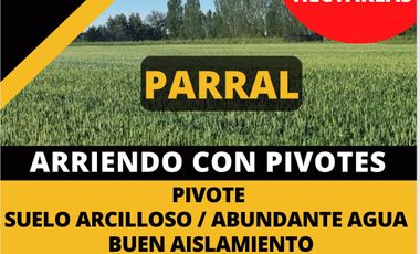 ARRIENDO CAMPO CON PIVOTES - PARRAL 90 HÁ