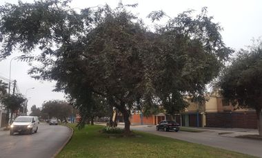 ALQUILER MINI DPTO. LA CAPULLANA SURCO