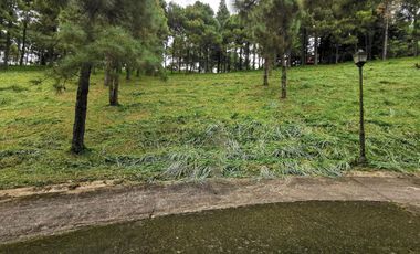 FOR SALE! 639sqm Residential Lot at Crosswinds - Peak View, Brittany Subdivision Tagaytay