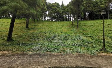FOR SALE! 639sqm Residential Lot at Crosswinds - Peak View, Brittany Subdivision Tagaytay