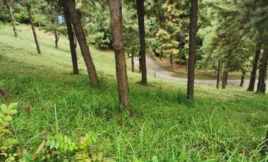 FOR SALE! 639sqm Residential Lot at Crosswinds - Peak View, Brittany Subdivision Tagaytay