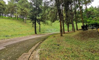 FOR SALE! 639sqm Residential Lot at Crosswinds - Peak View, Brittany Subdivision Tagaytay