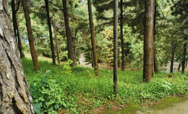 FOR SALE! 639sqm Residential Lot at Crosswinds - Peak View, Brittany Subdivision Tagaytay