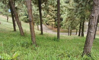 FOR SALE! 639sqm Residential Lot at Crosswinds - Peak View, Brittany Subdivision Tagaytay