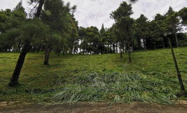 FOR SALE! 639sqm Residential Lot at Crosswinds - Peak View, Brittany Subdivision Tagaytay