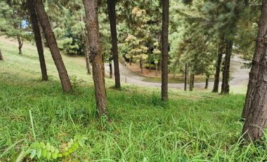 FOR SALE! 639sqm Residential Lot at Crosswinds - Peak View, Brittany Subdivision Tagaytay