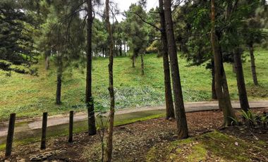 FOR SALE! 639sqm Residential Lot at Crosswinds - Peak View, Brittany Subdivision Tagaytay